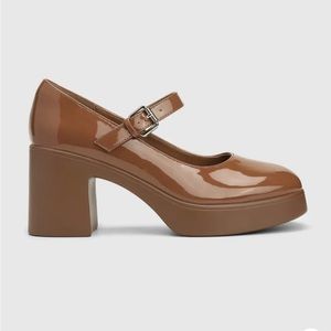 Chunky Heeled Mary Jane Shoes
